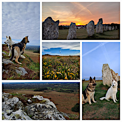 Schafhunde und Hinkelsteine