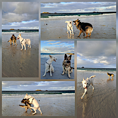 Eyla und Xora am Atlantik