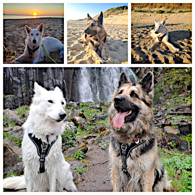 Eyla und Xora in Frankreich