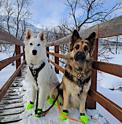 Eyla und Xora im finnischen Winter
