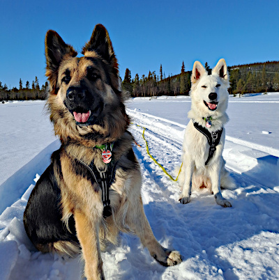 Eyla und Xora auf einem See in Jokkmokk