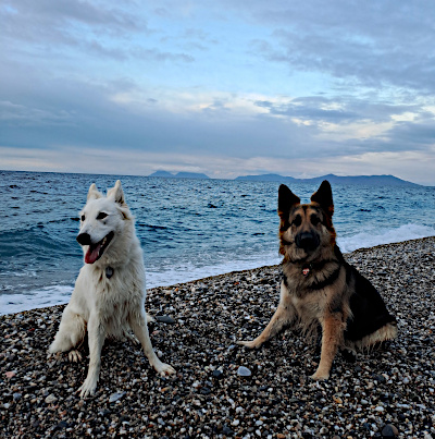 Am Strand vor den liparischen Inseln